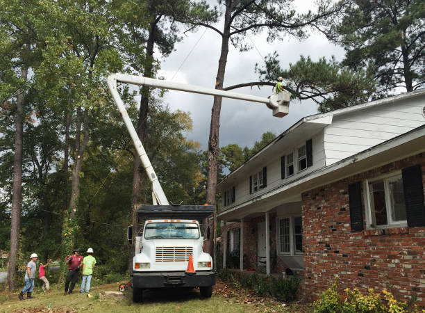 Soil Testing and Treatment in Ardsley, NY